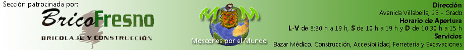 Colaborador Principal de la Sección